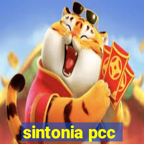 sintonia pcc